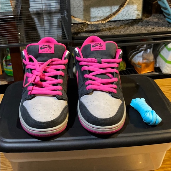 Nike Other - Nike SB Dunk